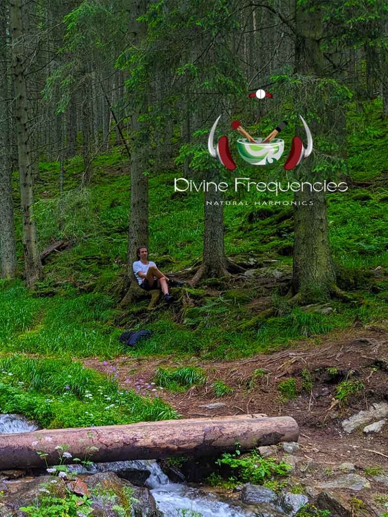 Participation Transylvania 23 2a | Divine Frequencies